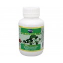 Australian Remedy Ginkgo 2500 mg 100 kapsúl