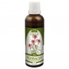 Echinacea bylinná tinktura 50 ml