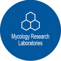 MRL