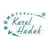 Karel Hádek