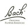 Bach